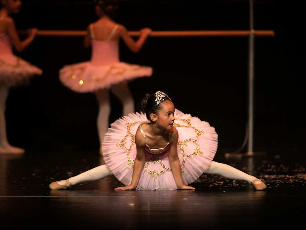 Luisa Piquer Escuela de danza