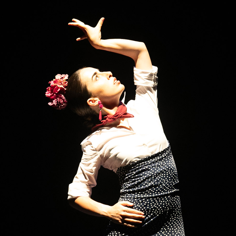 flamenco burriana