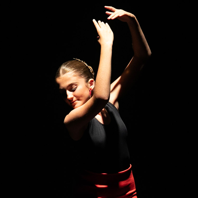 escuela flamenco burriana